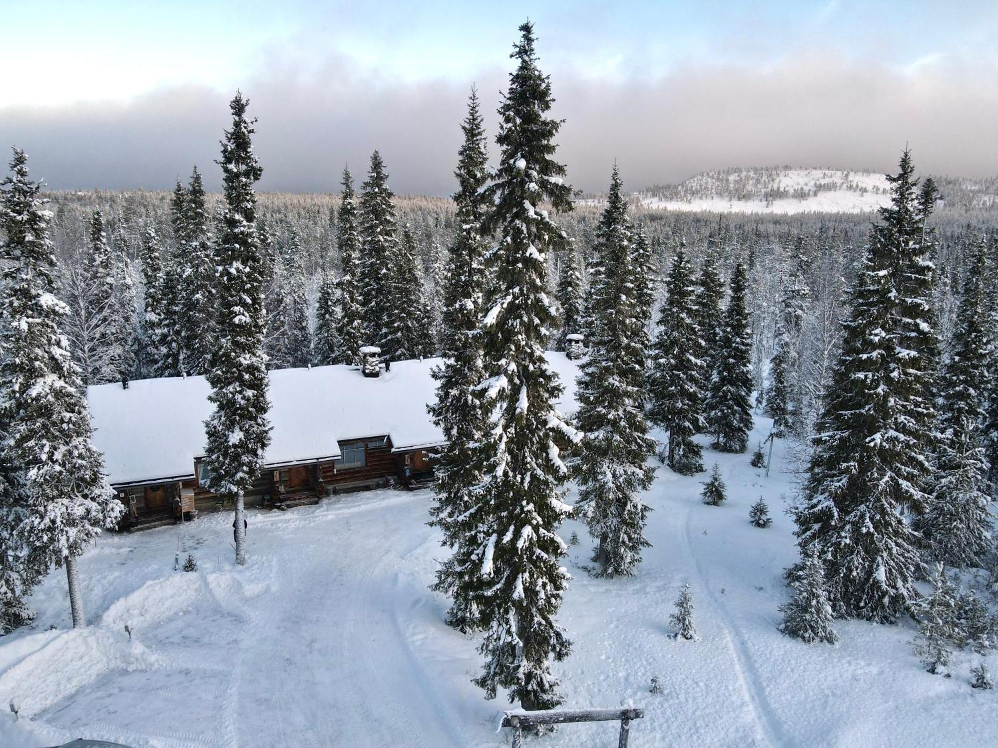 Jylhaekelo - A Cozy Loghouse In The Heart Of Lapland Apartment Luosto