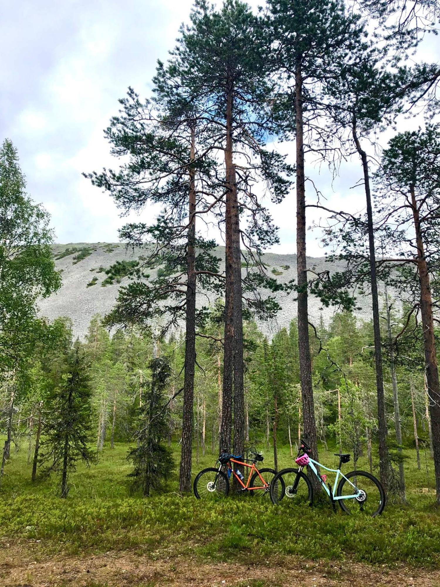 Apartment Jylhaekelo - A Cozy Loghouse In The Heart Of Lapland